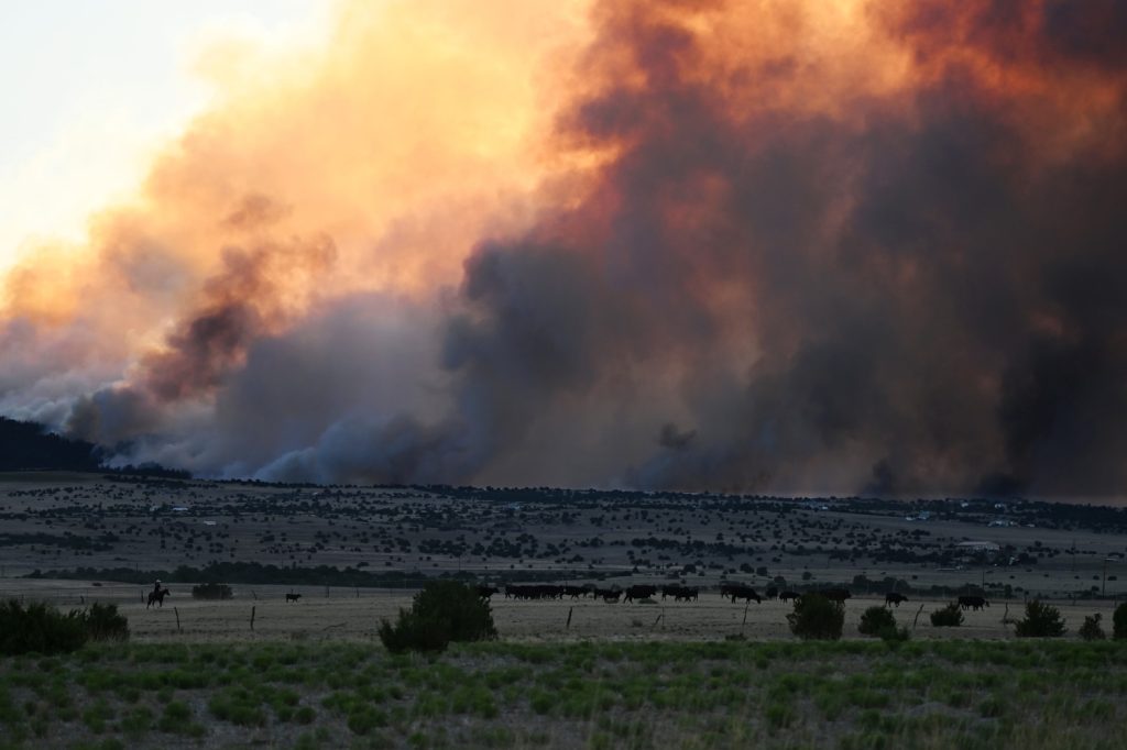 Aspen Acres fire grows 8,000 acres overnight, hundreds more firefighters arrive in southern Colorado