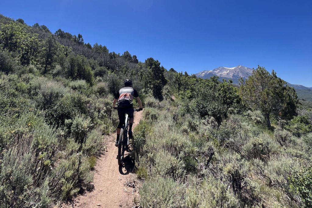 Where Pitkin County (and Colorado) sits in the context of state bans on M-44s