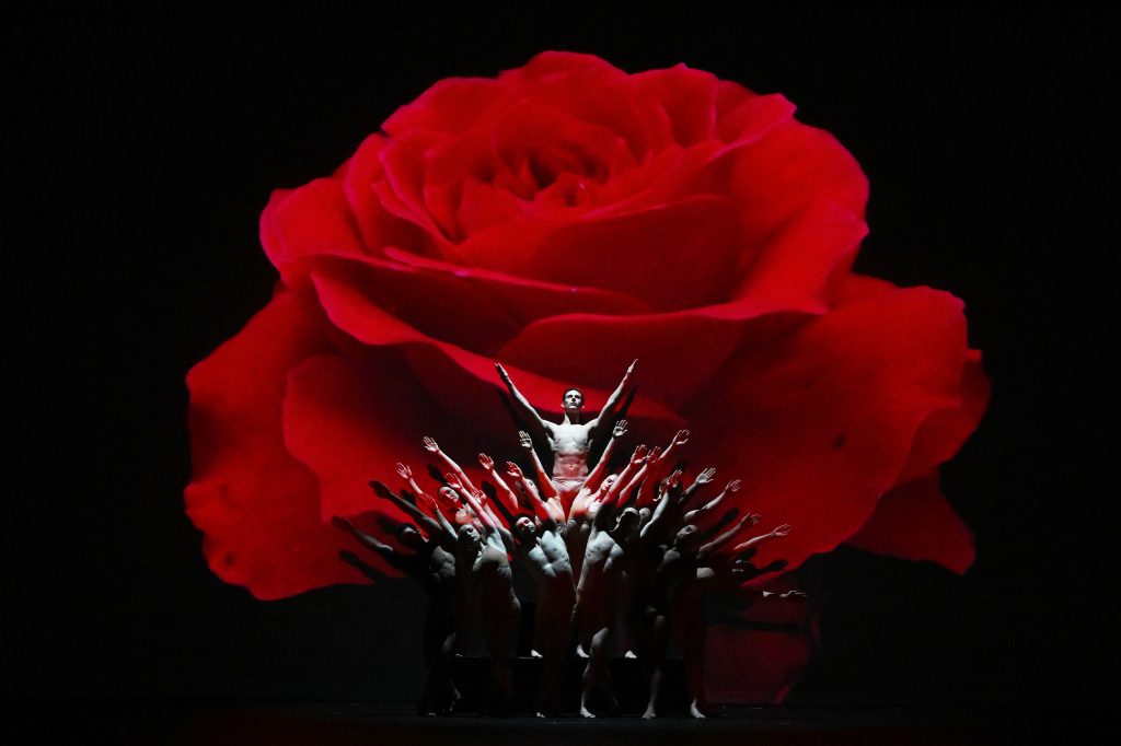 MOMIX presents Botanica at Aspen District Theater