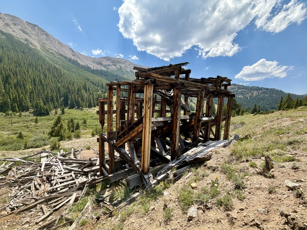 Rare superbloom commemorates Aspen’s July 4 history of Independence