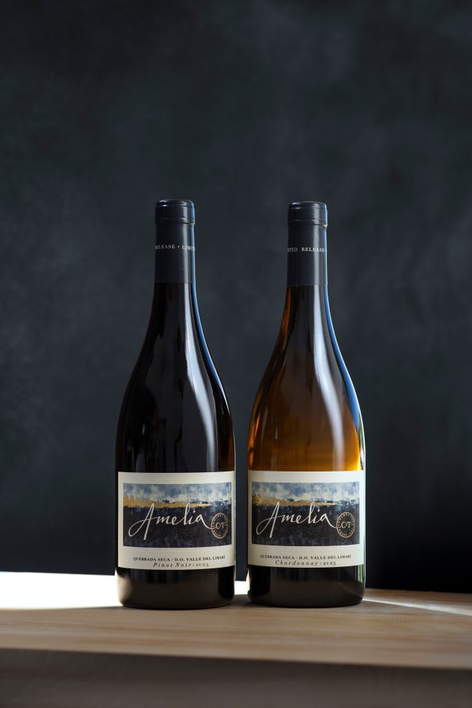 WineInk: Chile’s Viña Amelia reboots