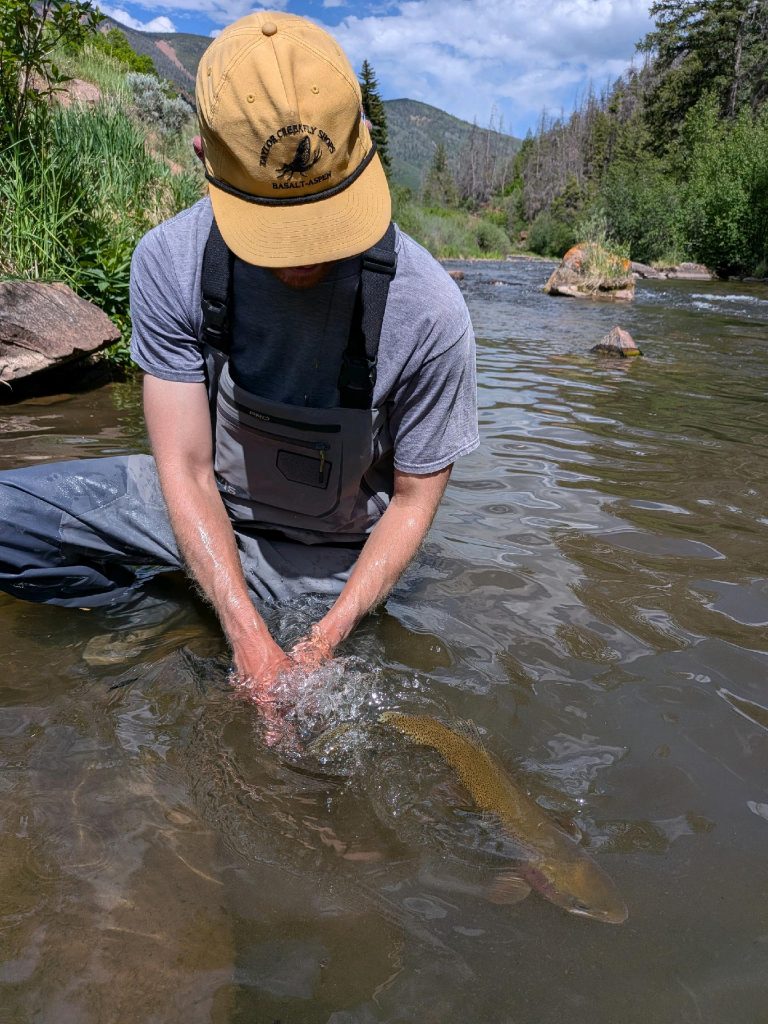On the Fly: The state of the fishery