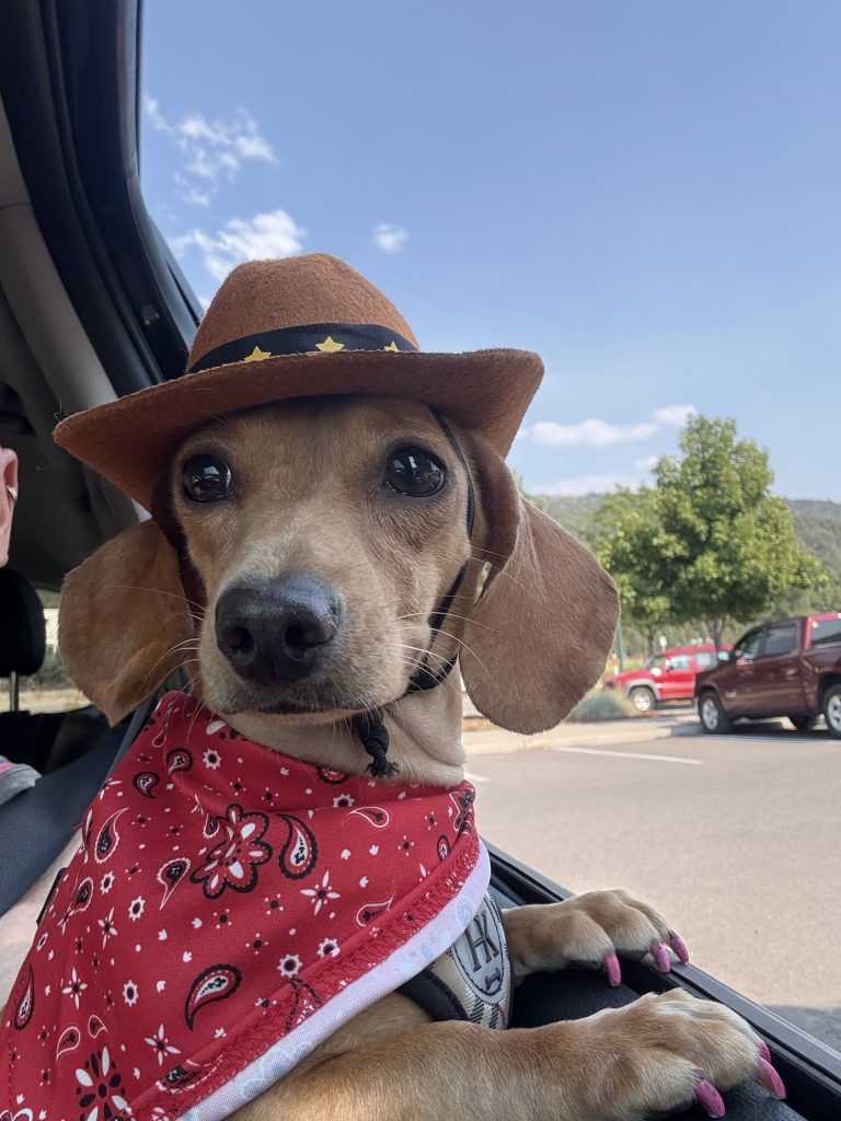 The Collective debuts Snowmass Sausage Sprint for National Hot Dog Day