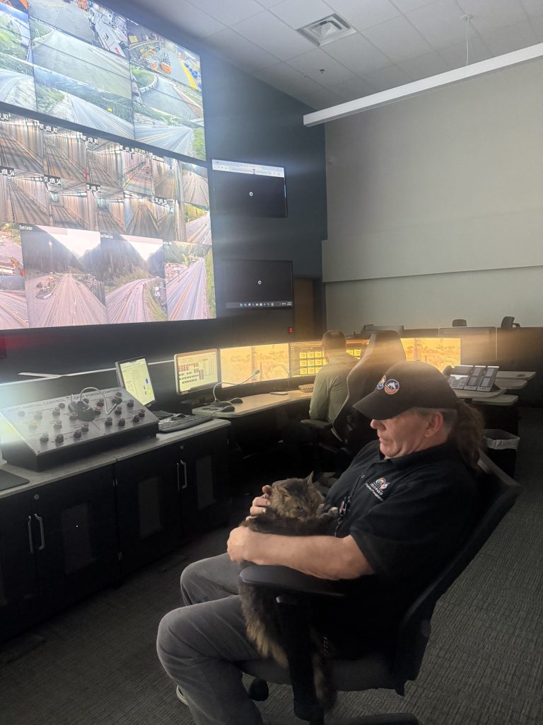 ‘Bones the killer cat’ survives jump from truck hurtling down I-70, causing closure of Johnson tunnel in Colorado