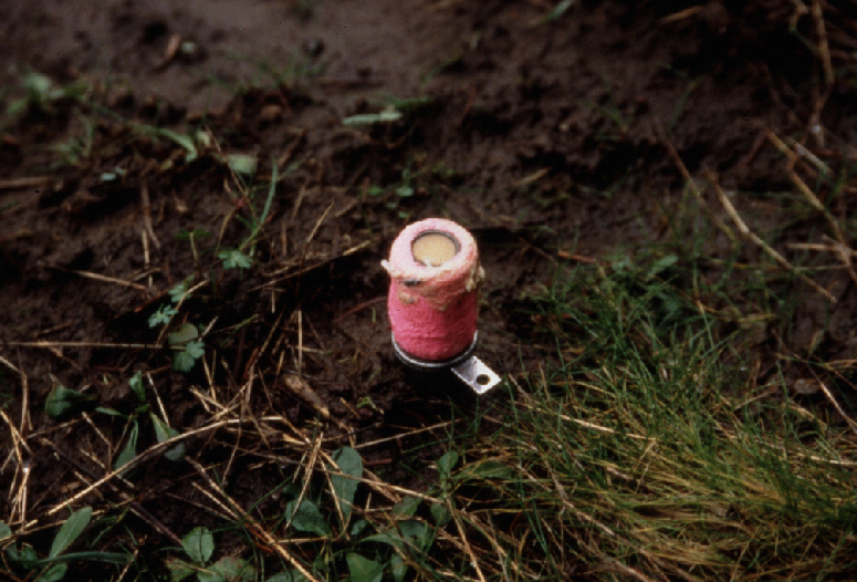 Federal cyanide traps return to BLM lands, including Pitkin County