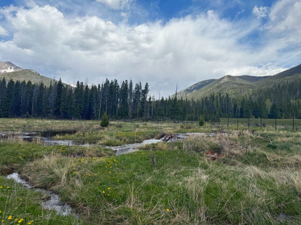 What can humans learn from beavers when it comes to drought-proofing the landscape?