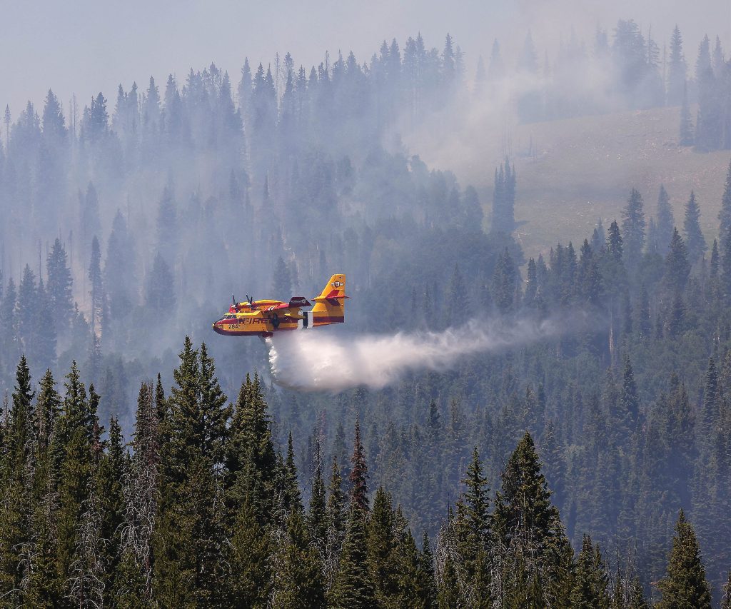 Thursday update: Fishhook Fire spreads to 347 acres; 0% contained