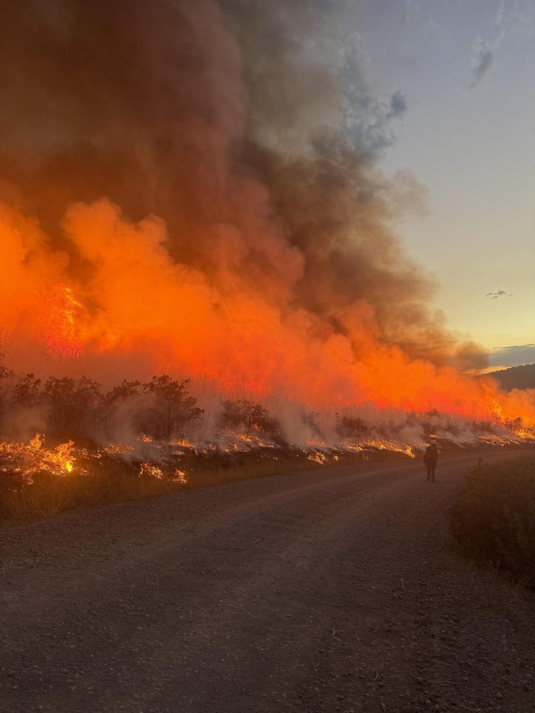 Wildfires have scorched over 200,000 acres in Colorado this summer