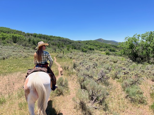 ‘The calm in the storm’: Mesa County range rider fills gap outside of state wolf program