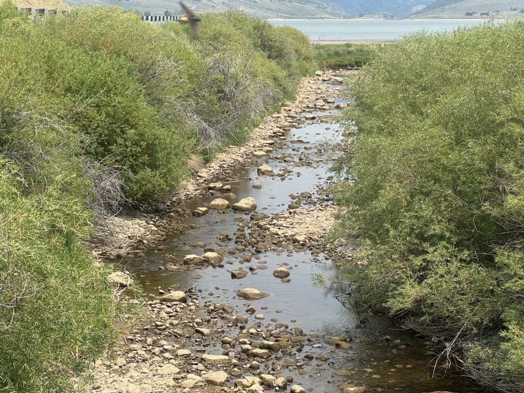 Colorado streamflows projected to be a quarter of normal this summer
